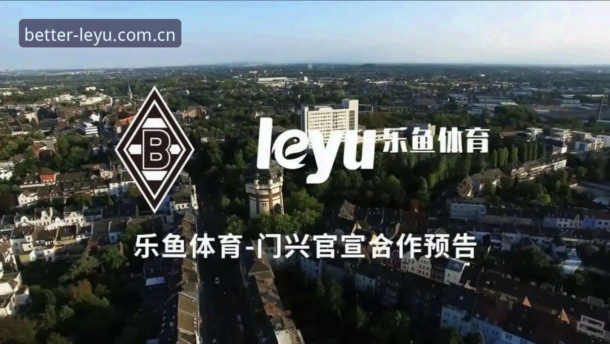 乐鱼体育中国官网深度评测：当"数据"遇上"体验"，一个老用户的真实视角